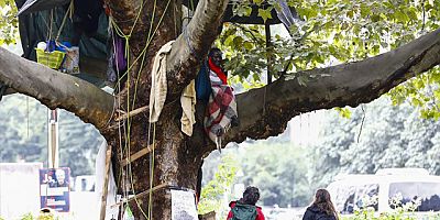 Sudanlı aktivist Langa Afganistanlı sığınmacılara destek için ağaca tırmandı! 