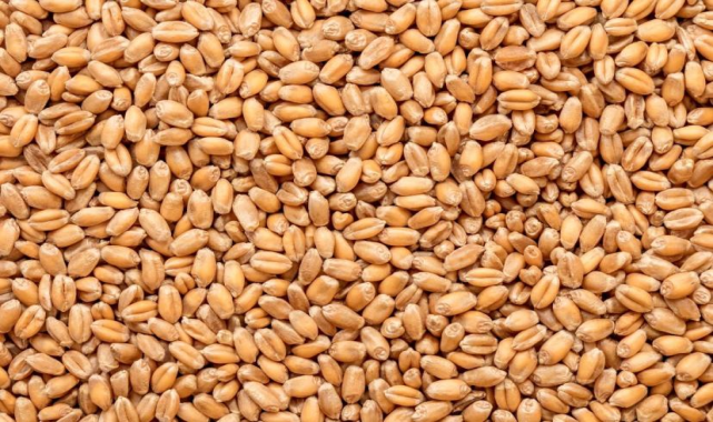 Ömrü uzatan 3 güçlü besin: Yaşlanma karşıtı ve uzun yaşam sırrı