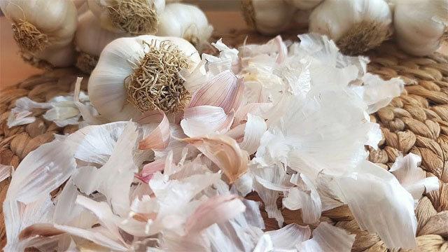 İlaçlara veda edin: Çöpe giden sarımsak kabukları bakın neye iyi geliyormuş!