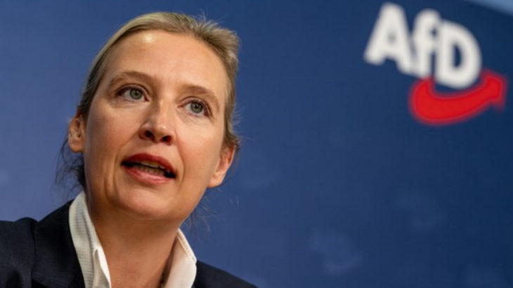 Almanya’da Aşırı Sağcı AfD’nin Yasaklanması Tartışılıyor