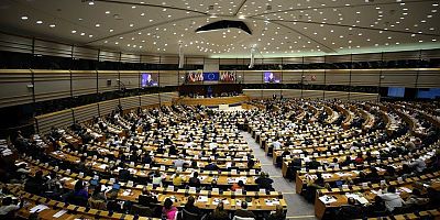 AP sınır kontrolleri çağrısını yineledi