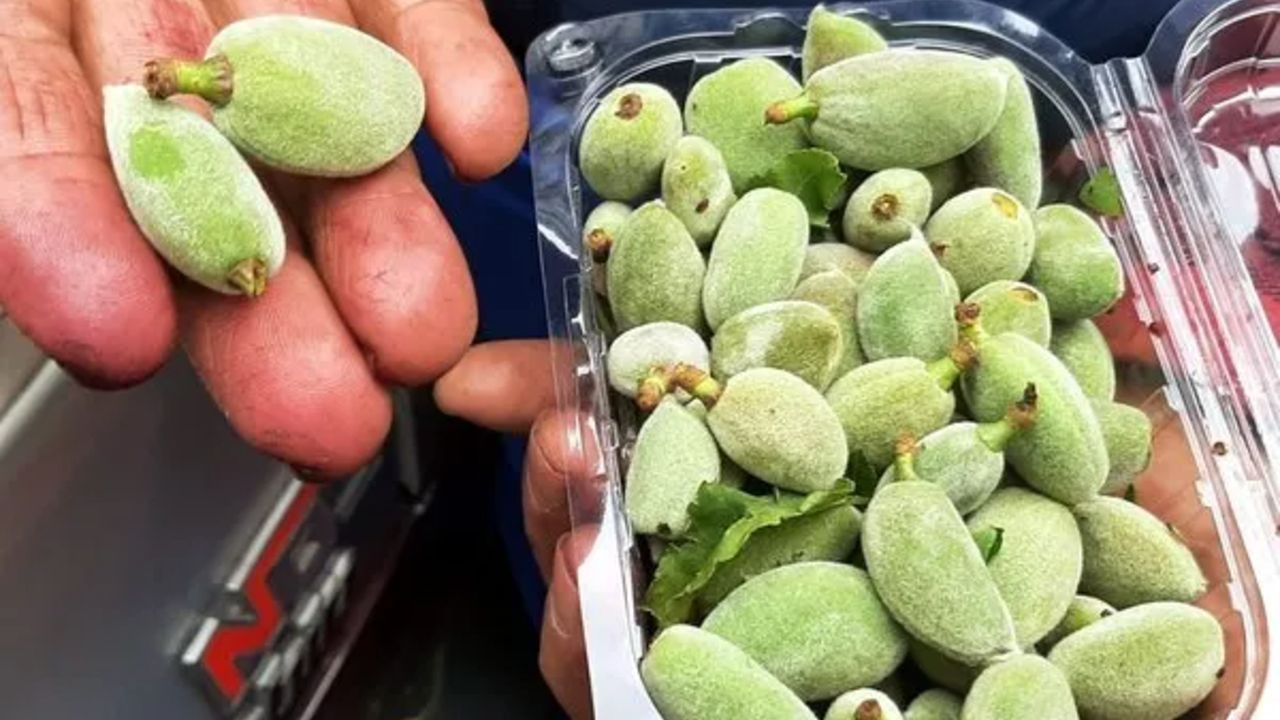 Kolesterol Düşmanı Çağla Pazarlarda Yerlini Aldı: Kilosu 600 Liraya Düştü!