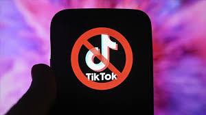 TikTok, Arnavutluk’ta Bir Yıl Süreyle Erişime Kapatılıyor